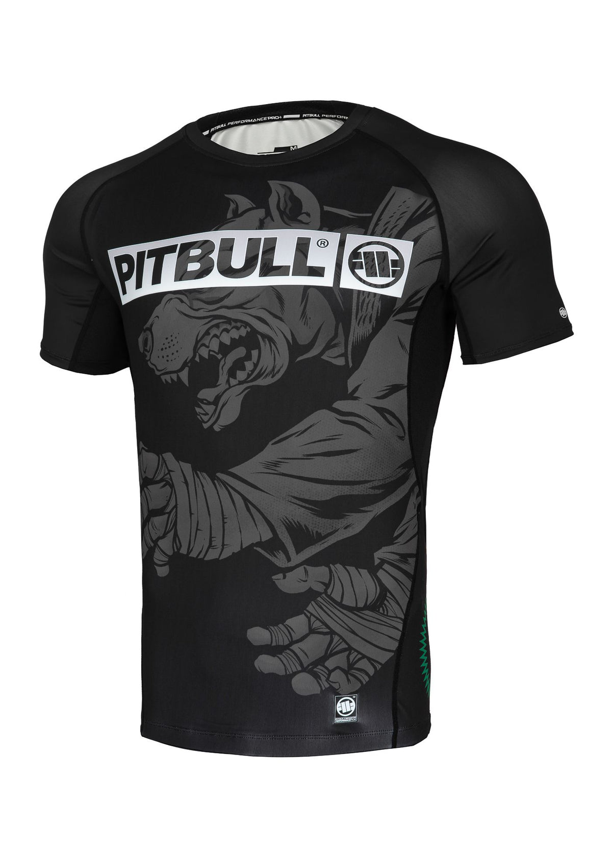 MASTERS OF BJJ HILLTOP schwarzer Rashguard